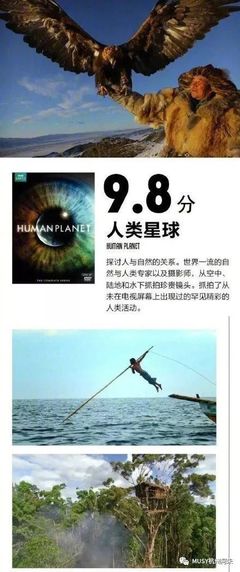 足不出户看世界 9部堪称神级的BBC纪录片，暑假陪孩子一起涨知识